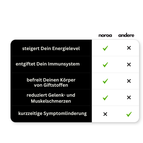 Noroa "CalmDetox" LUXE Fußbad & Spa - NEU!